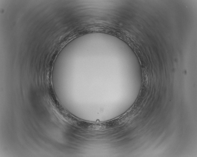 X0000068320745200604211011