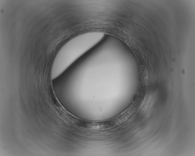 X0000068320746200604211011