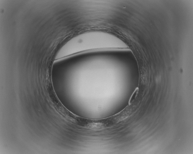 X0000068320748200604211011