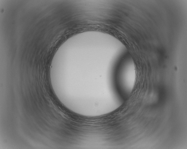 X0000068320750200604211011