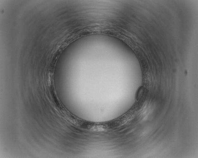 X0000068320751200604211011