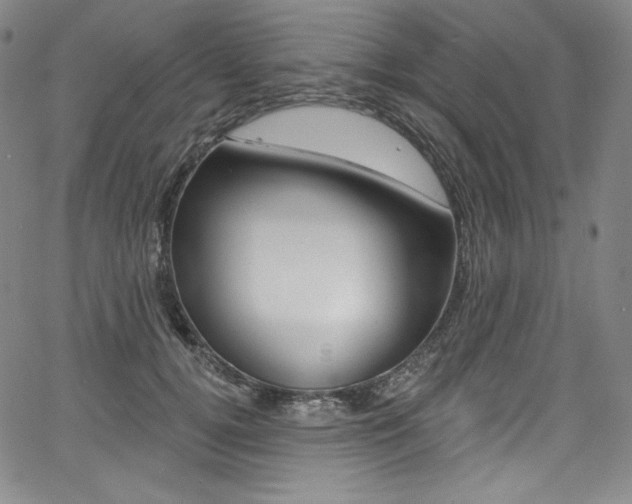 X0000068320752200604211011