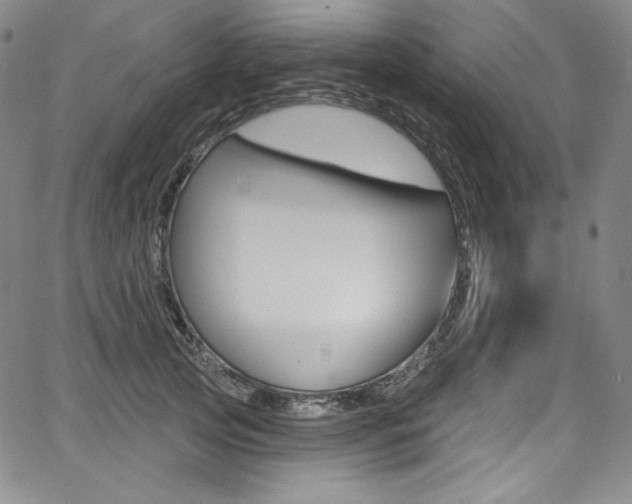 X0000068320753200604211011