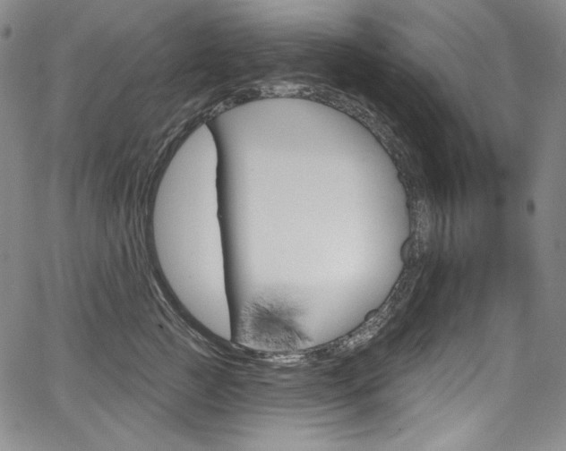 X0000068320761200604211011