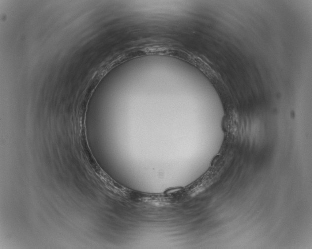 X0000068320763200604211011