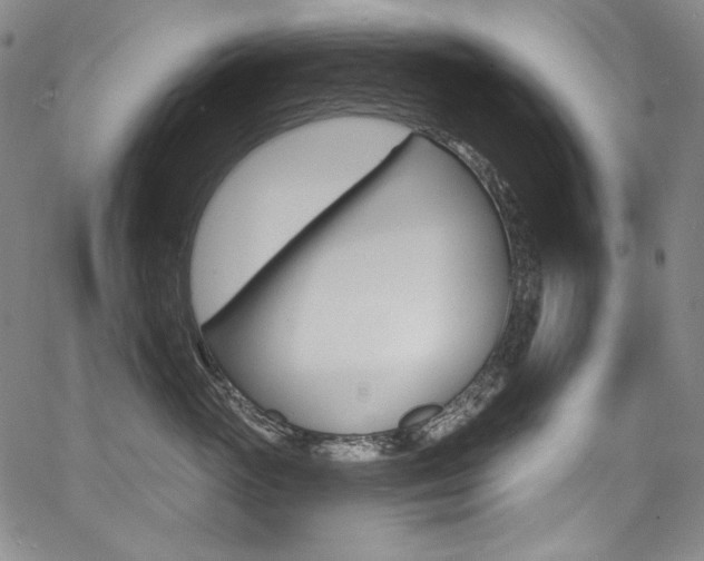 X0000068320765200604211011
