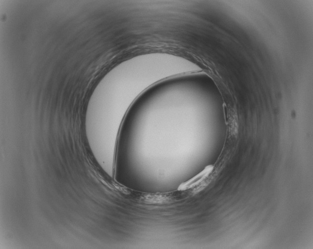 X0000068320766200604211011
