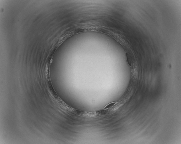 X0000068320767200604211011