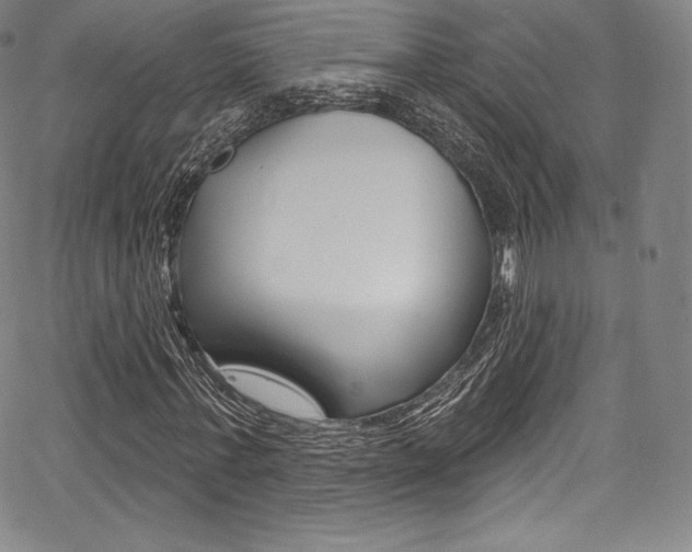 X0000068320771200604211011