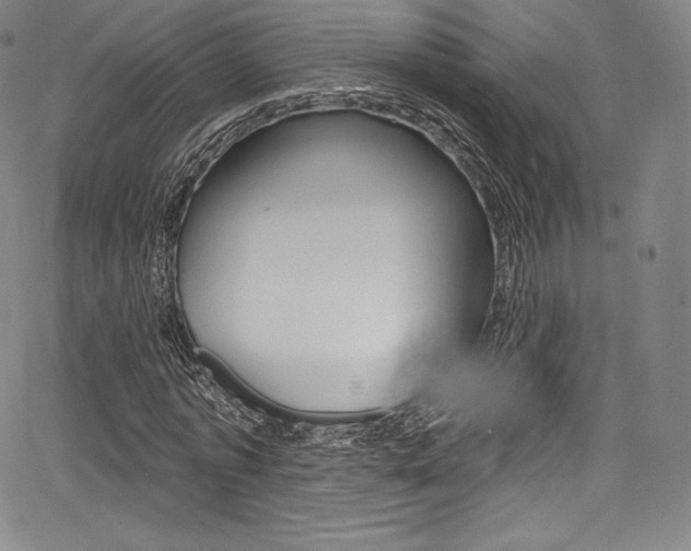 X0000068320773200604211011