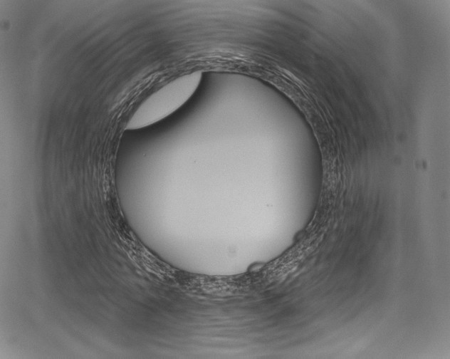 X0000068320774200604211011