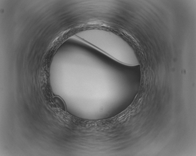 X0000068320776200604211011