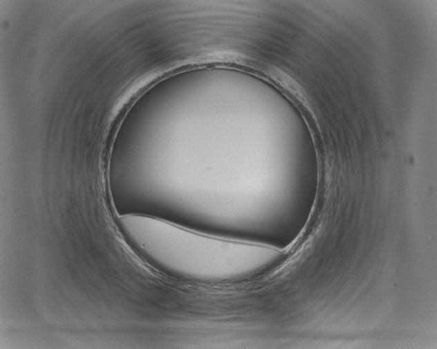 X0000068320789200604211010