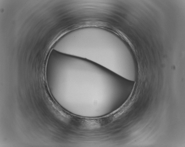 X0000068320794200604211010