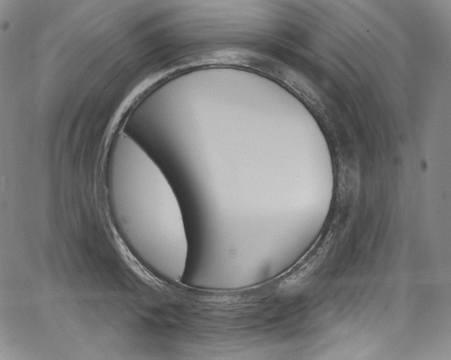 X0000068320800200604211010