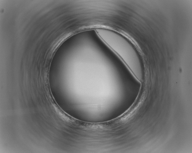 X0000068320801200604211010
