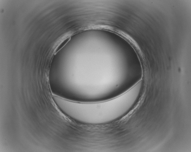 X0000068320809200604211010