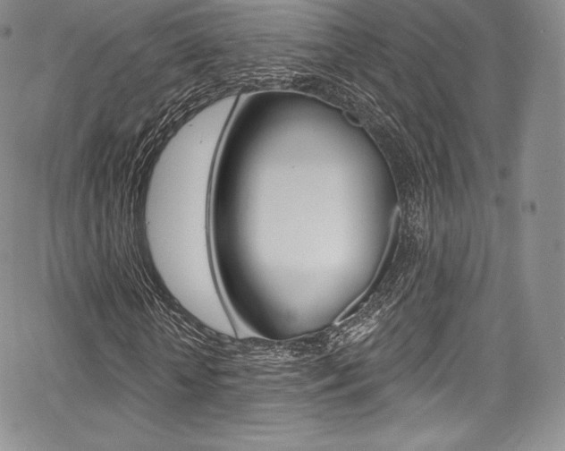 X0000068320818200604211009