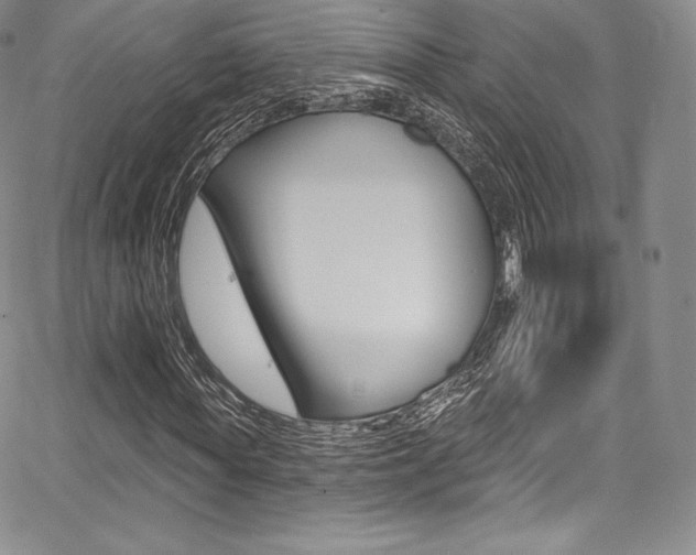 X0000068320819200604211009