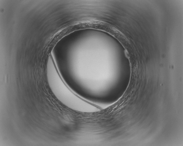 X0000068320822200604211009