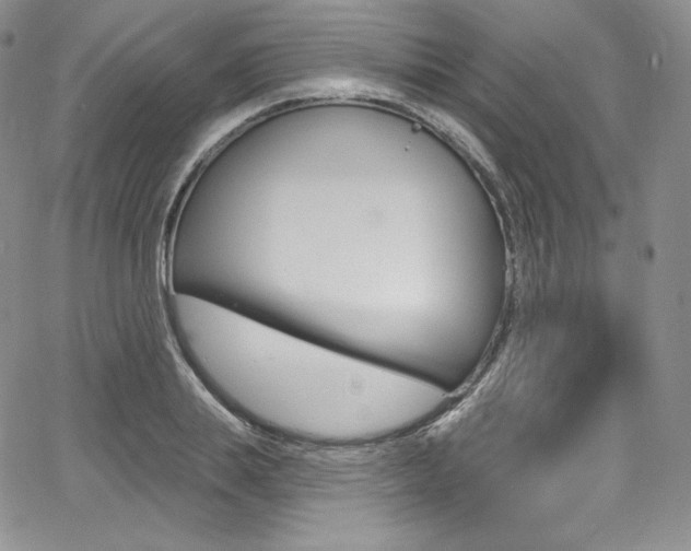 X0000068320839200604211009