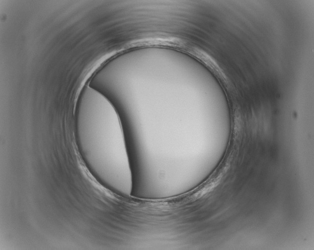 X0000068320844200604211009