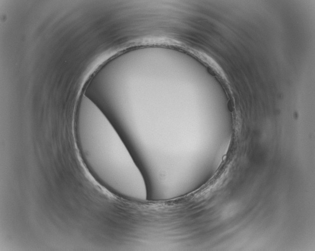 X0000068320847200604211009