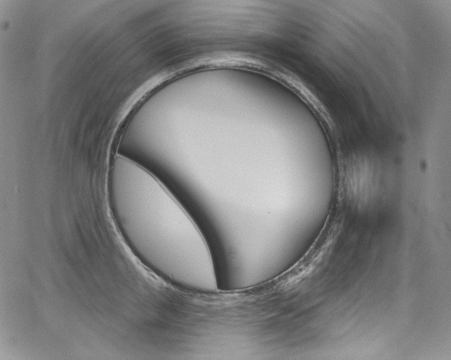 X0000068320853200604211010