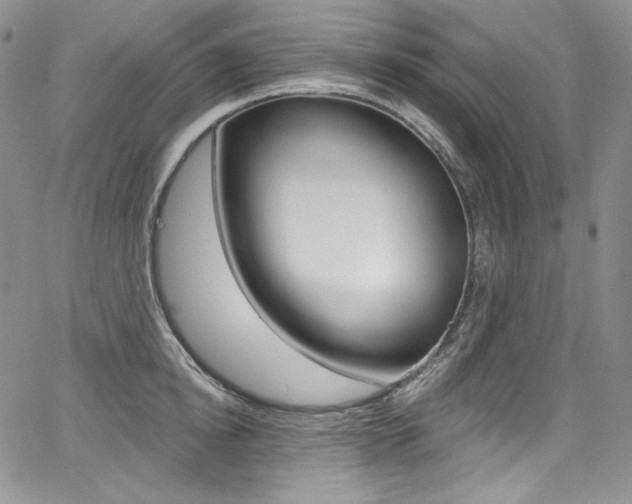 X0000068320854200604211010