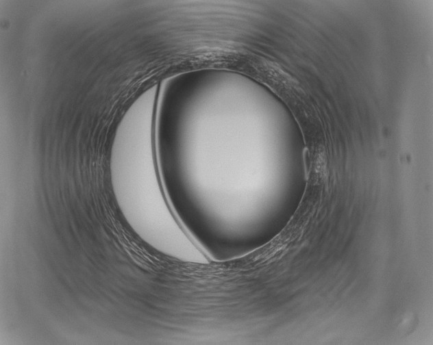 X0000068320868200604211009