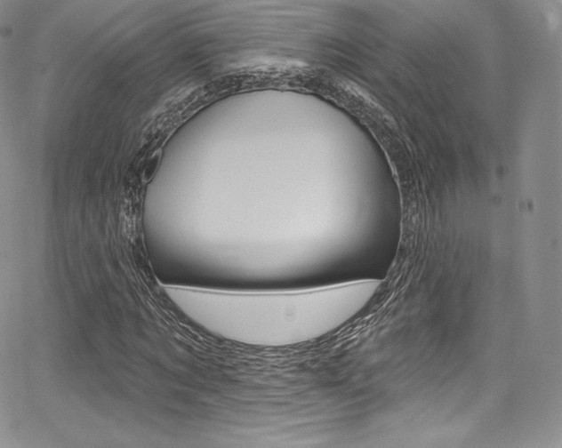 X0000068320869200604211009