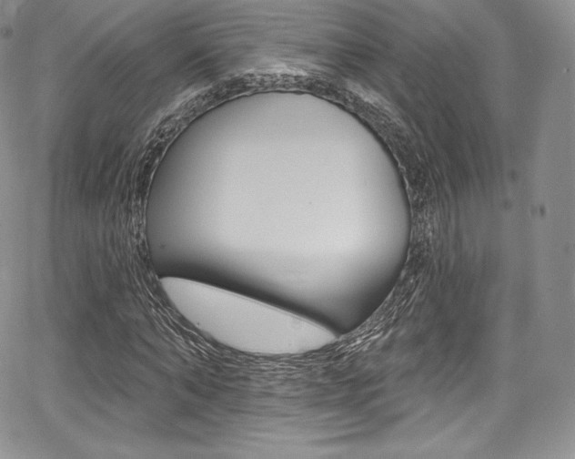 X0000068320870200604211009