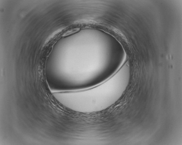 X0000068320872200604211009