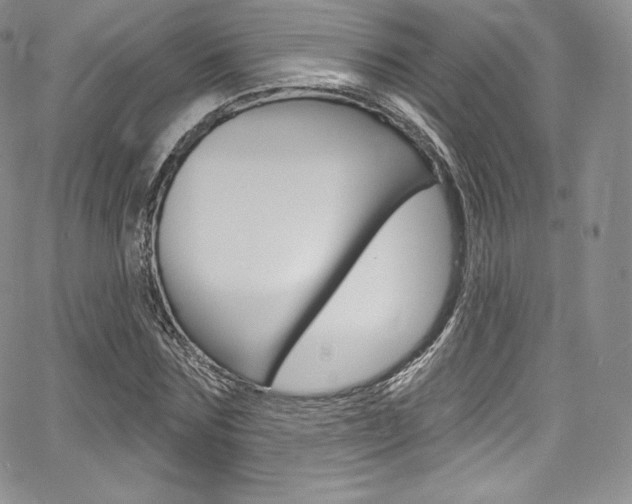 X0000068320875200604211009