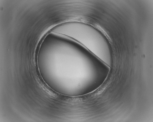 X0000068320884200604211009