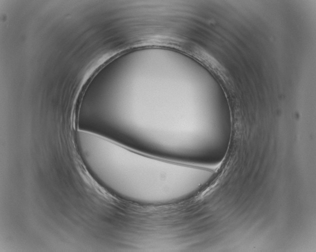 X0000068320892200604211008