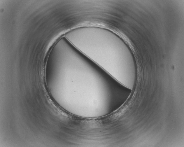 X0000068320896200604211008