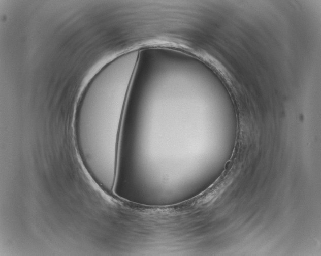 X0000068320902200604211008