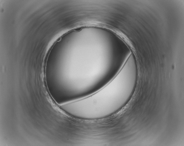 X0000068320904200604211008