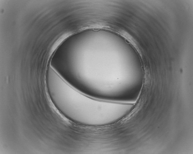 X0000068320906200604211008