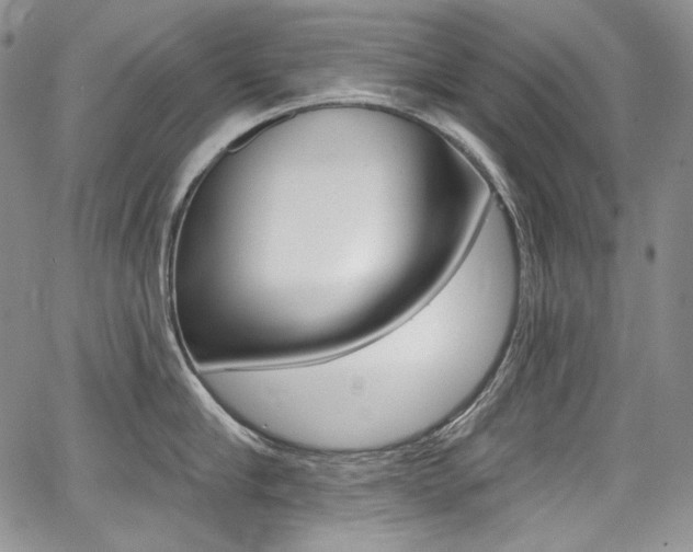 X0000068320910200604211008