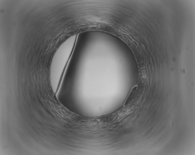 X0000068320916200604211007