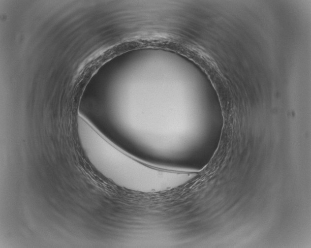 X0000068320920200604211008