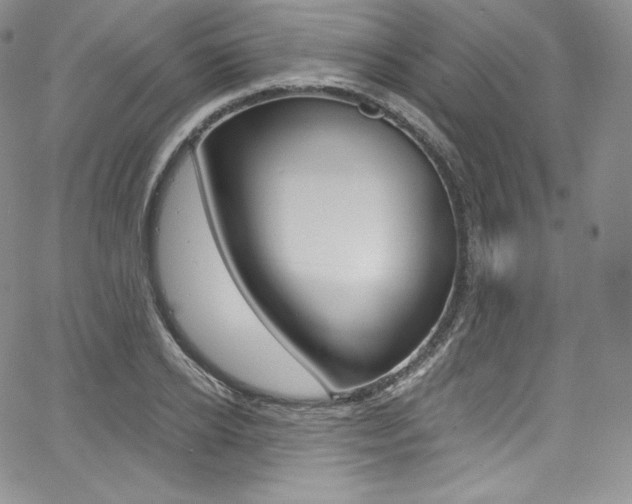 X0000068320934200604211008