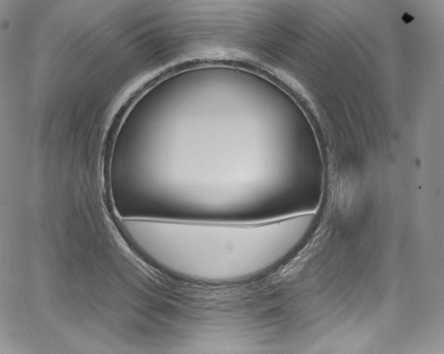 X0000068320935200604211008
