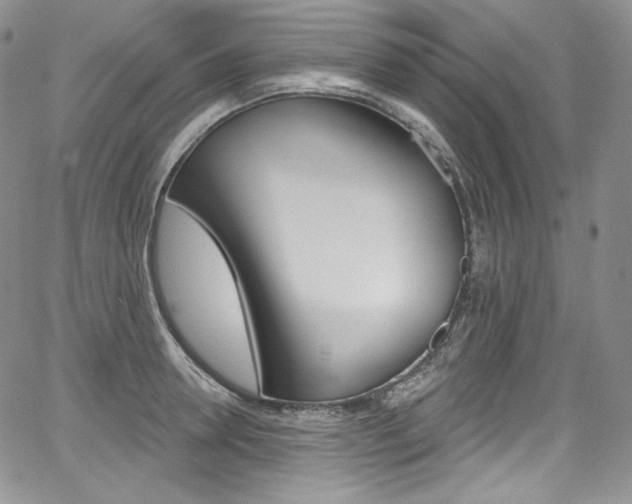 X0000068320946200604211008