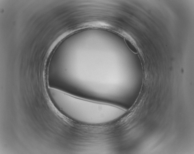 X0000068320947200604211008