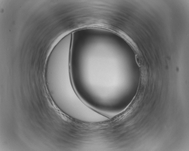 X0000068320956200604211008
