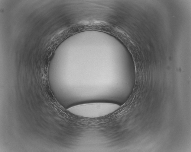 X0000068320966200604211007