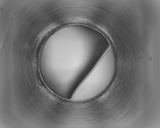 X0000068320979200604211007